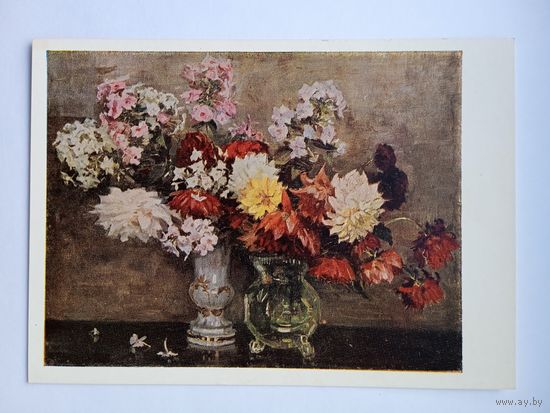 1954. Мясникова. Цветы
