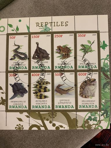 Руанда 2009. Рептилии