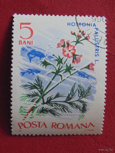 Румыния 1966 г. Цветы.
