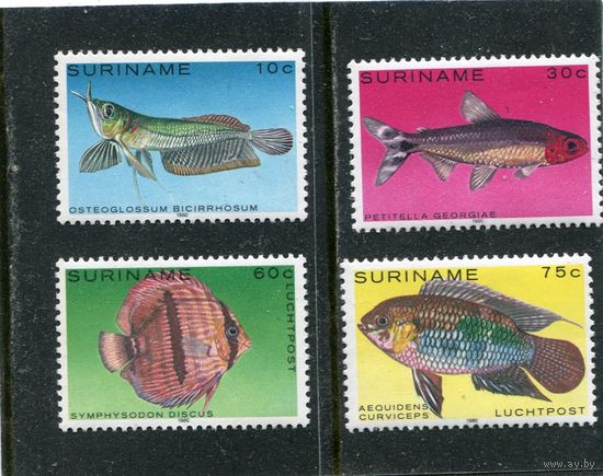 Суринам. Тропические рыбы