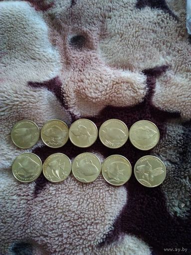 Малуку. Индонезия 5 Рупий 2017 г. Рыбки. Набор 10 монет.