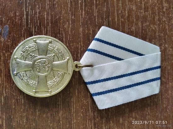 Медаль ордена Родительская слава РФ России мужской вариант
