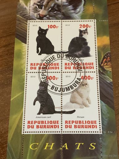 Бурунди 2010. Породы кошек. Малый лист