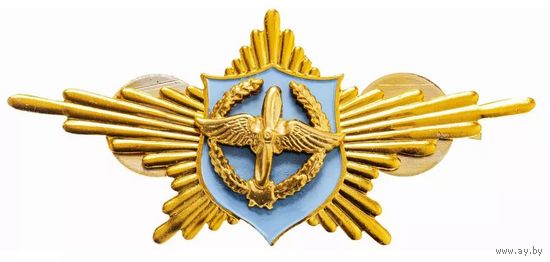 Кокарда Рота Почетного караула ВВС РФ