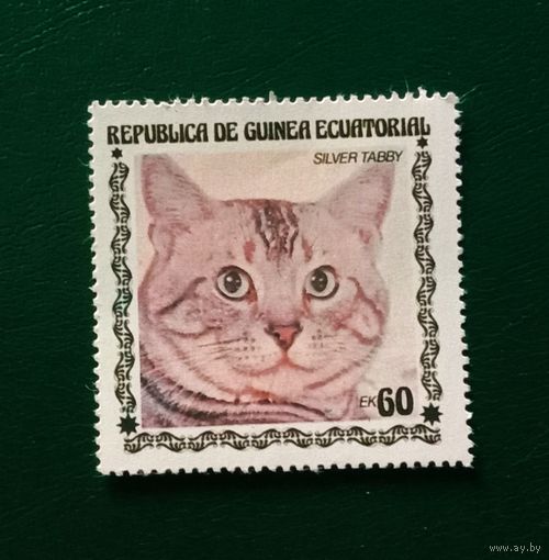 Марка  Экваториальная Гвинея Кошка
