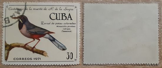 Куба 1971 100-летие со дня смерти Рамона де ла Сагра, натуралиста, кубинских птиц.30 с