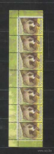Беларусь Фауна сцепка из стандартных марок с полем листа MNH **