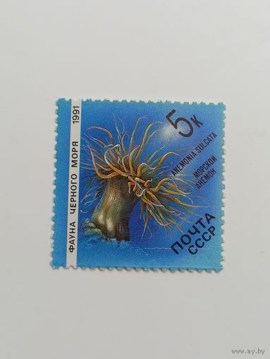 1991 СССР. Фауна Чёрного моря