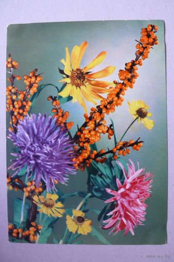 Цветы, 1967, подписана (ГДР).