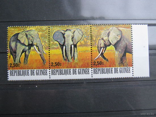 Марки - фауна, Гвинея, слоны