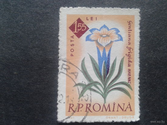 Румыния 1961 цветы