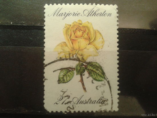 Австралия 1982 Желтая роза