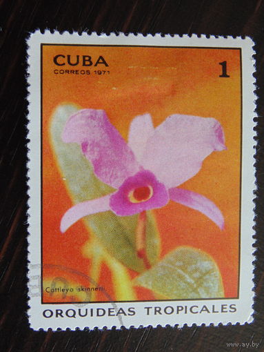 Куба 1971 г. Флора.