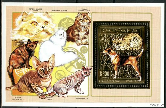 1993 Гайана 4506/B374 золото Собаки и кошки 15,00 евро