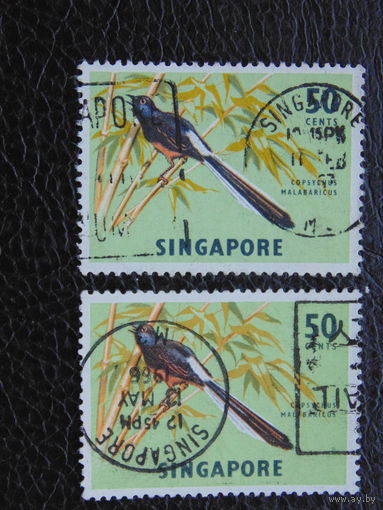 Сингапур. Птицы.