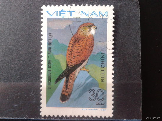 Вьетнам 1982 Хищная птица
