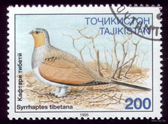 1 марка 1995 год Таджикистан Птичка 80