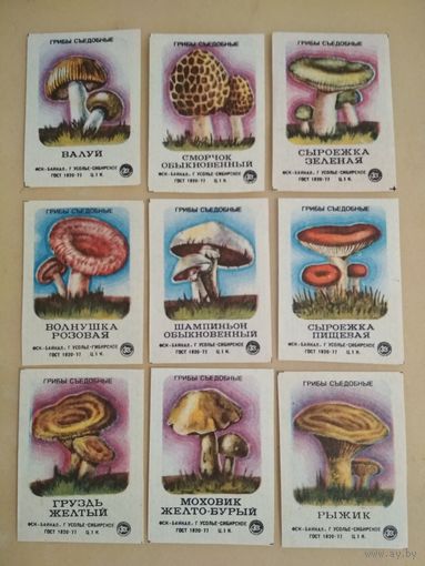 Спичечные этикетки ф.Байкал. Съедобные грибы. 1978 год