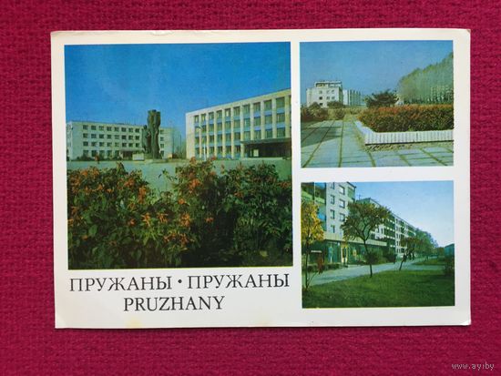 Пружаны. Площадь Ленина. Захаренко 1985 г. Чистая.