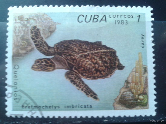 Куба 1983 Черепаха