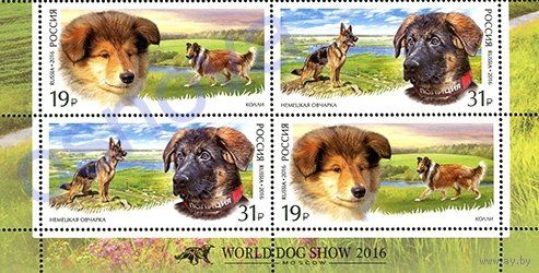Россия 2016 КВАРТ 2101-2102 Фауна Собаки Колли Овчарка Служебные породы собак **