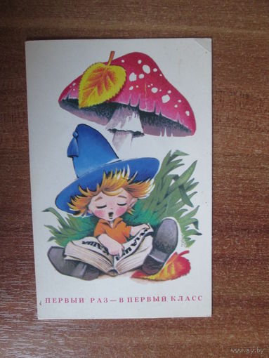 Почтовая карточка СССР.1979г.В.Четвериков.
