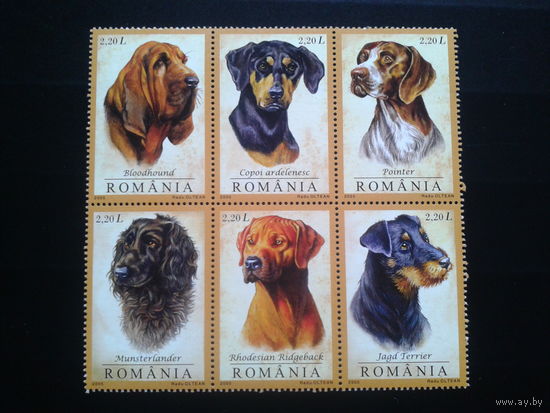Румыния 2005 собаки сцепка