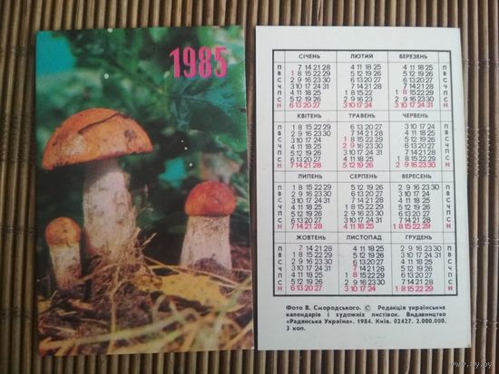 Карманный календарик.1985 год. Грибы
