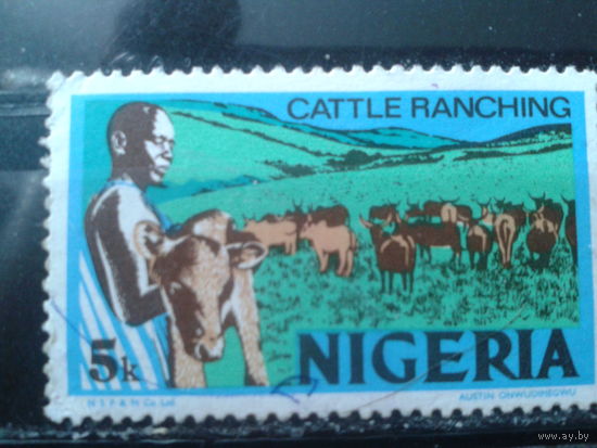 Нигерия 1973 Стандарт 5 кобо стадо