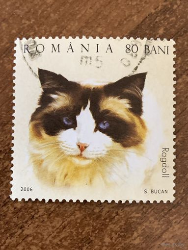 Румыния 2006. Породы кошек. Ragdoll. Марка из серии