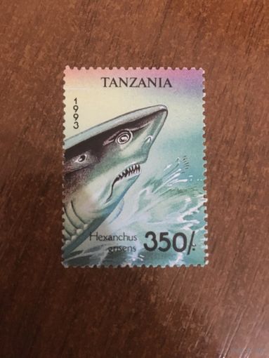 Танзания 1993. Акула Hexanchus Grisens