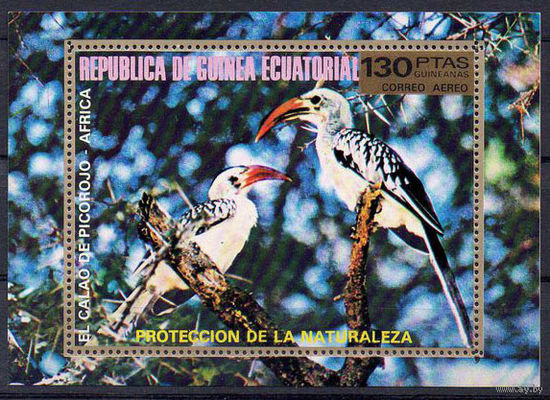 Фауна Птицы Африки Экваториальная Гвинея  1976 год 1 блок
