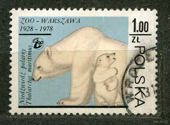 Фауна. Белые медведи. Польша. 1978
