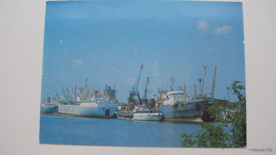 Морской рыбный порт  1988 г. Калининград