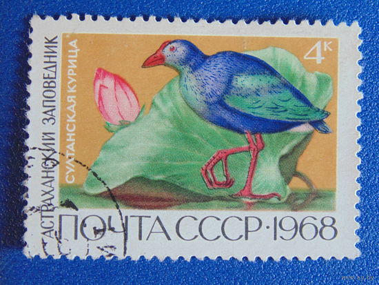 СССР 1968 г. Птицы.