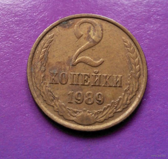 2 копейки 1989 СССР #04