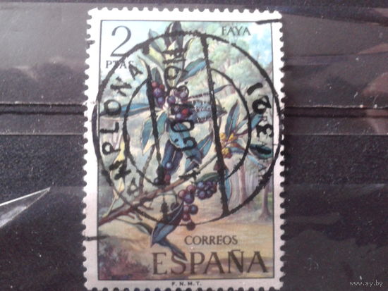 Испания 1973 Флора Канарских островоа