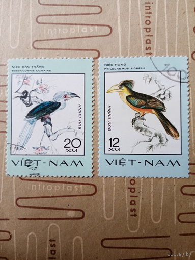 Вьетнам. Фауна. Птицы