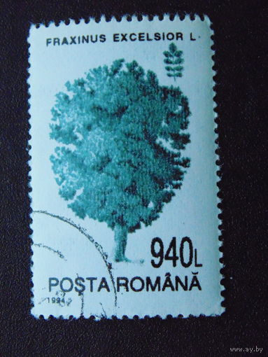 Румыния 1994г. Флора.