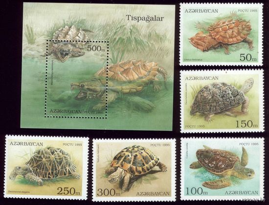 Блок и 5 марок 1995 год Азербайджан Черепахи 223-227 13