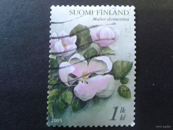 Финляндия 2005 цветы