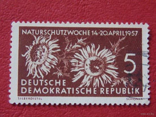 Германия 1957 г. Цветы.
