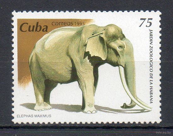 Слон Куба 1995 год 1 марка
