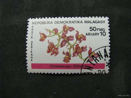 Мадагаскар 1984 Цветы (А)