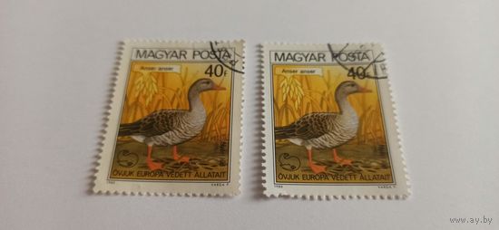 Венгрия 1980 фауна