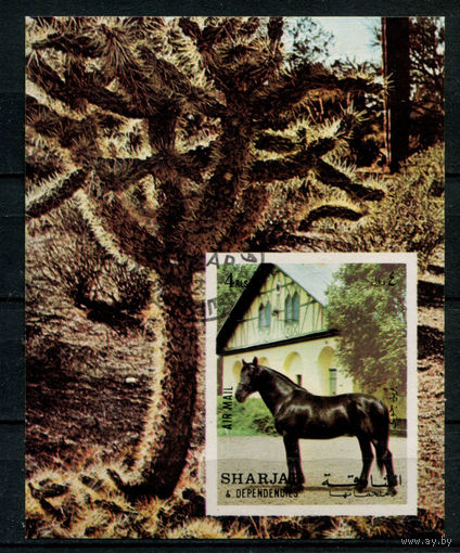 Шарджа - 1972г. - лошади - 1 блок - полная серия, гашёный с клеем [Mi bl. 116]. Без МЦ!