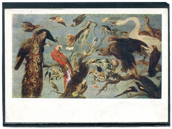 Франс Снейдерс. Птичий концерт. Изд.1955