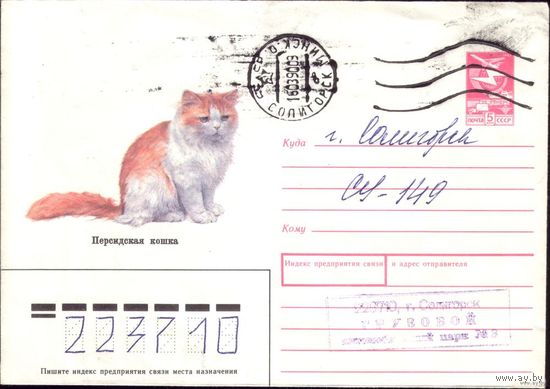 1989 год ХМК Персидская кошка 89-108 2