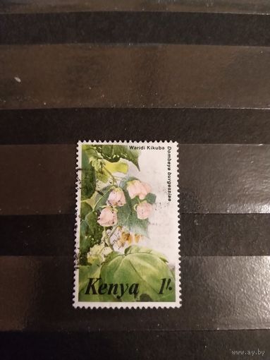 Кения флора цветы (3-11)