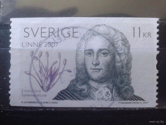 Швеция 2007 Карл Линней - натуралист Михель-2,4 евро гаш